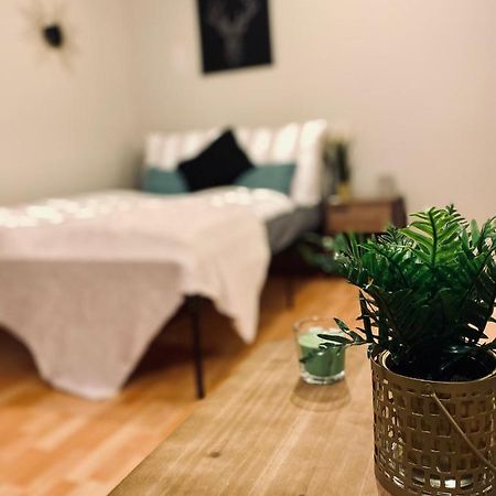 Saniertes Studio - Elisa - Mit Balkon, Wlan, Smart-Tv & Kueche In City-Naehe Erfurt Luaran gambar