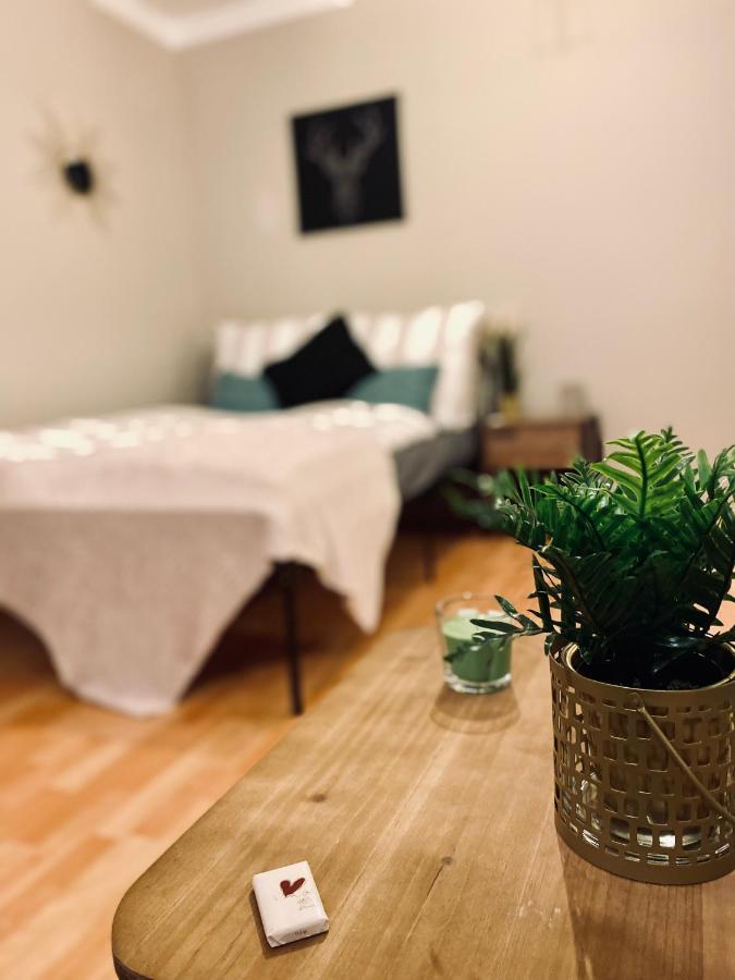 Saniertes Studio - Elisa - Mit Balkon, Wlan, Smart-Tv & Kueche In City-Naehe Erfurt Luaran gambar