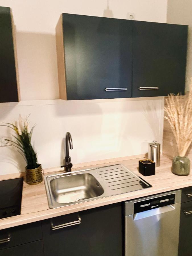 Saniertes Studio - Elisa - Mit Balkon, Wlan, Smart-Tv & Kueche In City-Naehe Erfurt Luaran gambar
